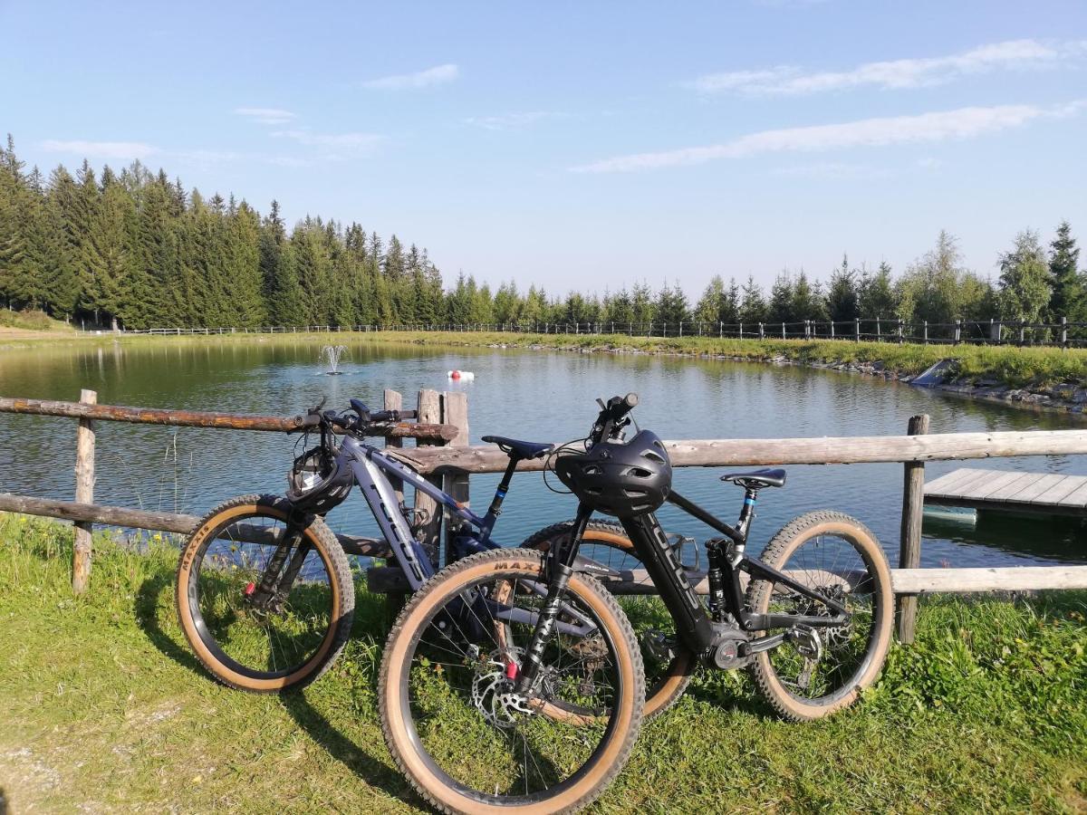 Weixl Schi&Bike Appartements-Bike In&Bike Out Neben Wexl Trails Bikepark Sankt Corona am Wechsel Buitenkant foto