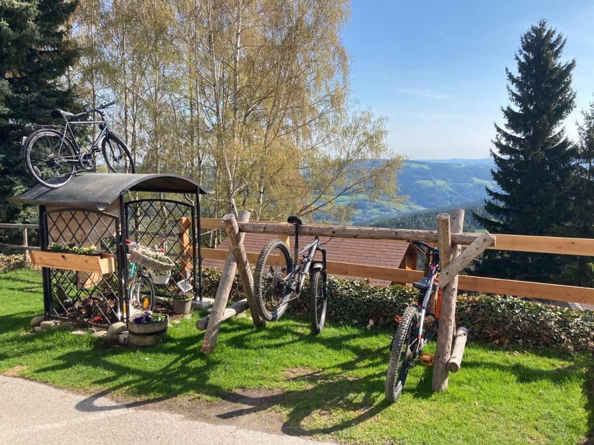 Weixl Schi&Bike Appartements-Bike In&Bike Out Neben Wexl Trails Bikepark Sankt Corona am Wechsel Buitenkant foto