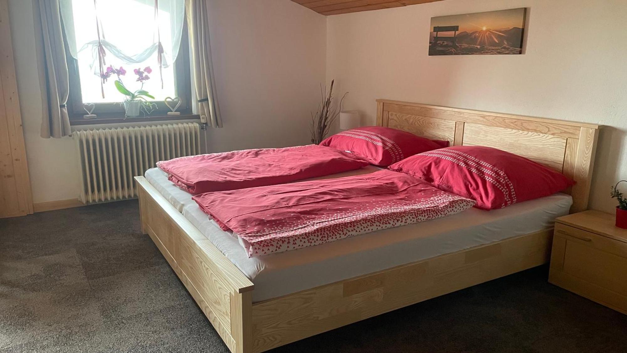 Weixl Schi&Bike Appartements-Bike In&Bike Out Neben Wexl Trails Bikepark Sankt Corona am Wechsel Buitenkant foto