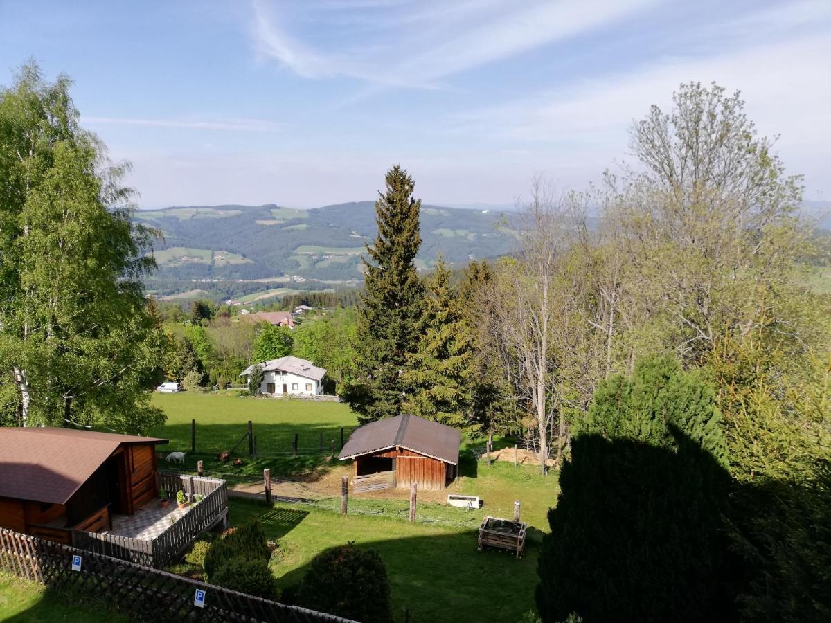 Weixl Schi&Bike Appartements-Bike In&Bike Out Neben Wexl Trails Bikepark Sankt Corona am Wechsel Buitenkant foto